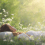 In Search of a Good Bliss Definition